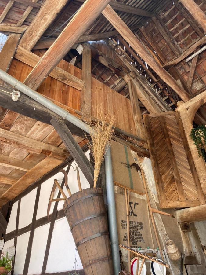 La Ferme De Grand Mere Furchhausen Экстерьер фото